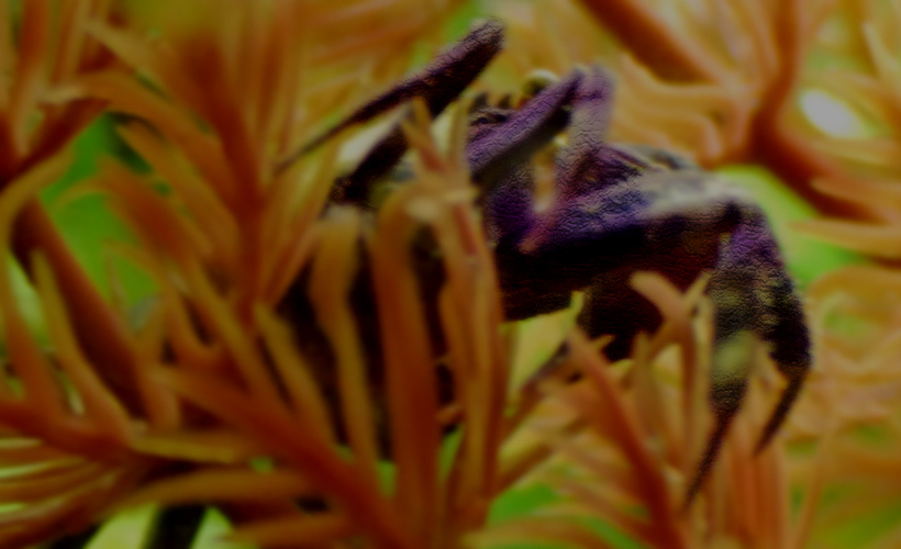  . . . something stirs